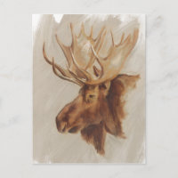 Western American Animal Study | Moose Portrait