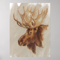 Western American Animal Study | Moose Portrait
