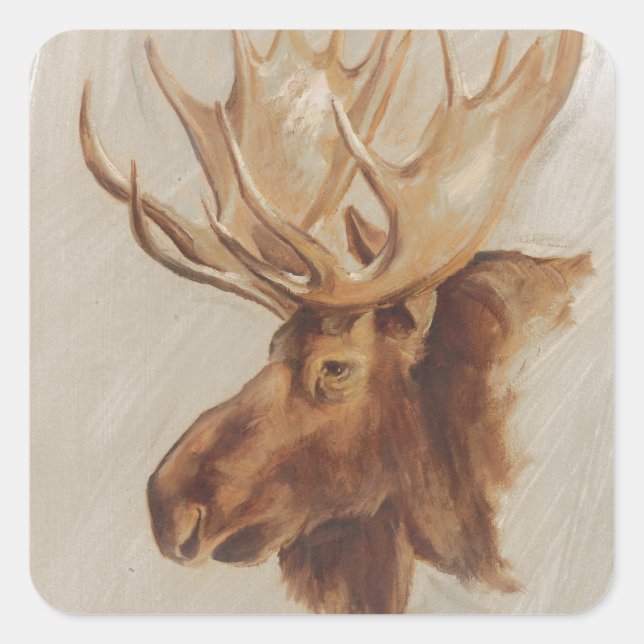Western American Animal Study | Moose Portrait Square Sticker (Front)