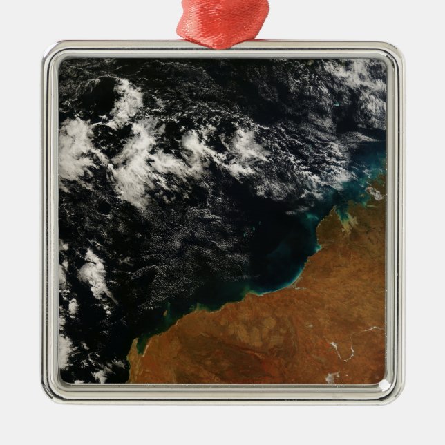 Western Australia Metal Tree Decoration (Front)