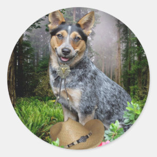 Western Australian Cattle Dog Apparel & Gifts Classic Round Sticker