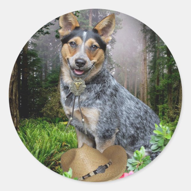 Western Australian Cattle Dog Apparel & Gifts Classic Round Sticker (Front)
