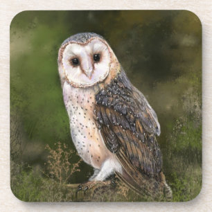 Western Barn Owl Beverage Coaster - Painting
