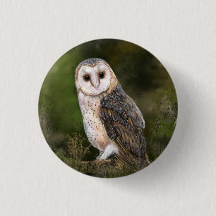 Western Barn Owl Button - Painting