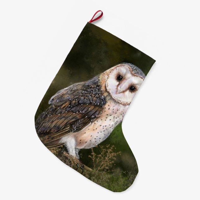 Western Barn Owl Christmas Stocking Gift (Front (Hanging))
