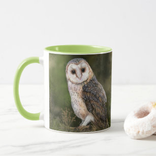 Western Barn Owl Coffee Mug - Painting