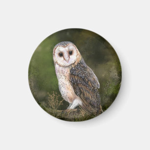 Western Barn Owl Magnet