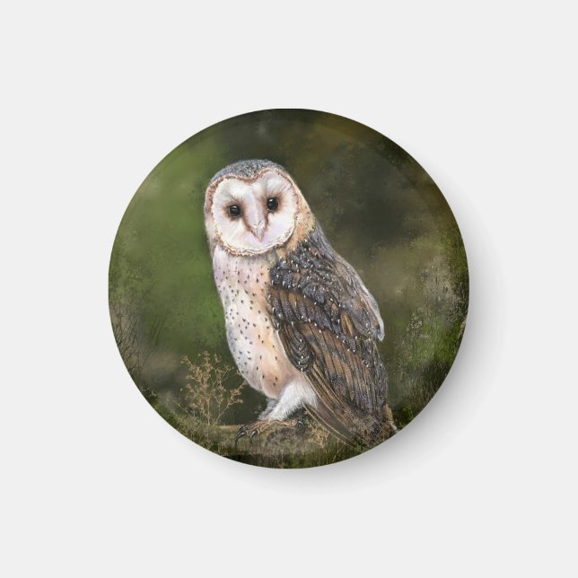 Western Barn Owl Magnet (Front)
