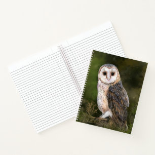 Western Barn Owl - Migned Watercolor Painting Art Notebook