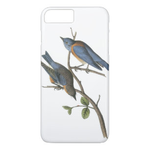 Western Bluebird by Audubon iPhone 8 Plus/7 Plus Case
