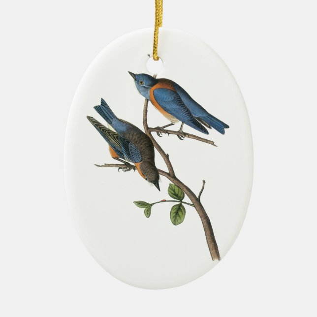 Western Bluebird by Audubon Ceramic Tree Decoration (Front)