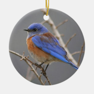 Western Bluebird Ceramic Tree Decoration