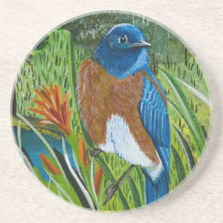 Western Bluebird Coaster