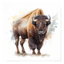 Western Buffalo Art Print Poster