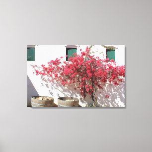 Western Cape Wine Farm Landscape Canvas Print