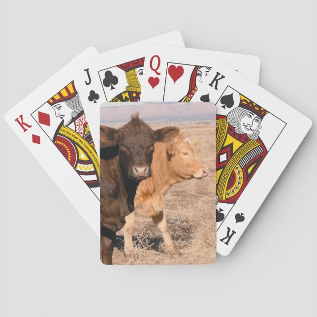 Western Cattle Cows Walking Together Rural Scene Playing Cards (Back)