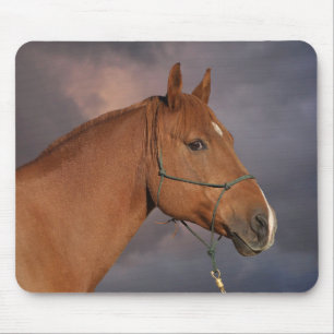 Western Chestnut Brown Horse Mouse Mat