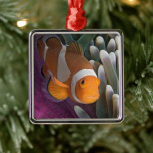 Western Clown Anemone Fish Metal Tree Decoration