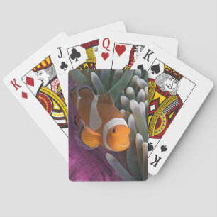 Western Clown Anemone Fish Playing Cards