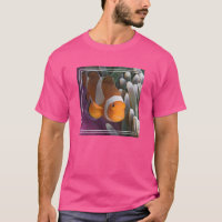 Western Clown Anemone Fish