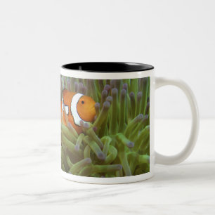 Western Clownfish ( Amphiprion ocellaris ) Two-Tone Coffee Mug