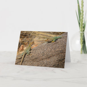 Western Collared Lizards in Colorado Card