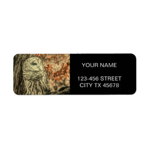 western country autumn leaves oak tree white owl
