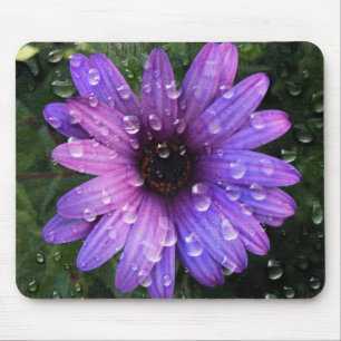 Western Country garden morning Dew purple daisy Mouse Mat