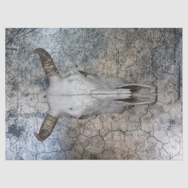 Western Cow Cattle Skull Decoupage Tissue Paper (Front)