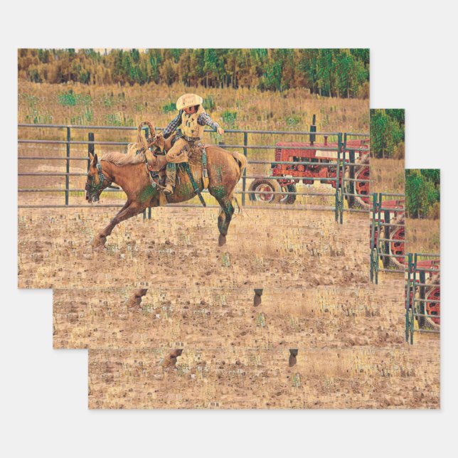 Western Cowboy Country Horse Riding Wrapping Paper Sheet (Set)