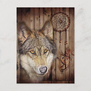 Western dream catcher native american indian wolf postcard