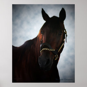 Western Dreamer Poster