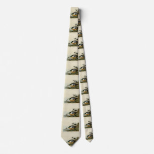 Western Duck from Audubon's Birds of America Tie