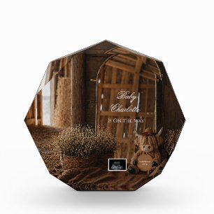 Western Farm Pregnancy Announcement Mirror reveal Photo Block
