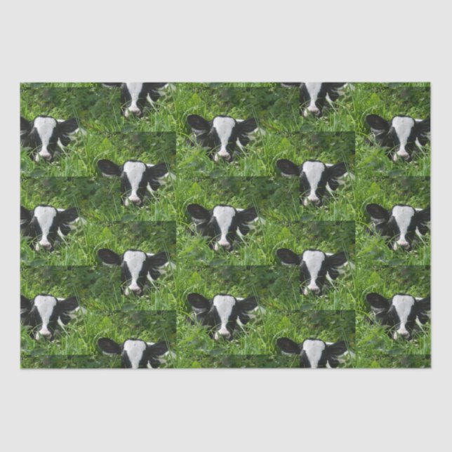  Western Farm Ranch Holstein Calf In Grass   Tissue Paper (Front)