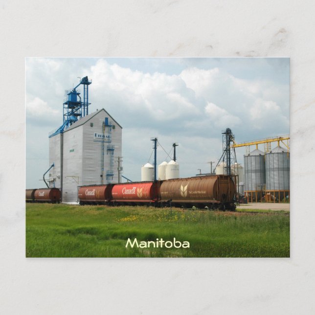 Western Grain Elevator Postcard (Front)