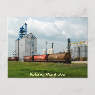 Western Grain Elevator Postcard