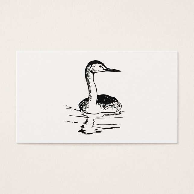 Western Grebe (Front)