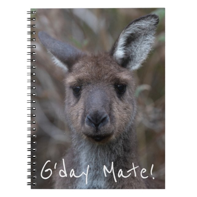 Western Grey Kangaroo Australia Notebook (Front)