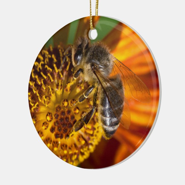 Western Honey Bee Macro Photo Ceramic Tree Decoration (Left)