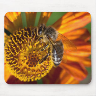 Western Honey Bee Macro Photo Mouse Mat