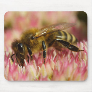 Western Honey Bee Mouse Mat