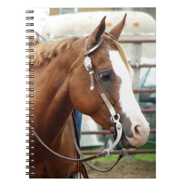 Western Horse Notebook (Front)