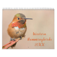Western Hummingbirds Photography