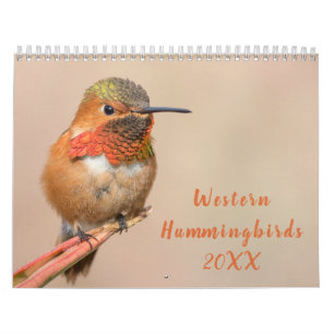 Western Hummingbirds Photography Calendar