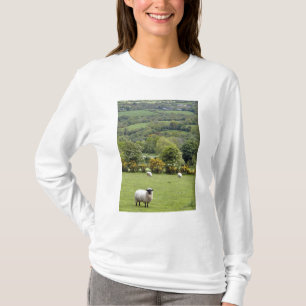 Western Ireland, Dingle Peninsula, broad T-Shirt
