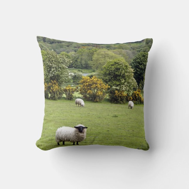 Western Ireland, Dingle Peninsula Cushion (Front)