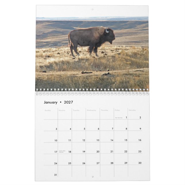 Western Kansas Buffalo Calendar (Jan 2027)