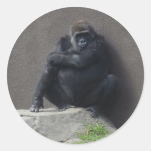 Western Lowland Gorilla #2 Stickers