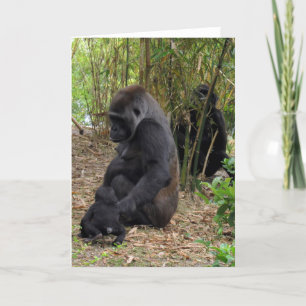 Western Lowland Gorilla - Mum and Baby Card